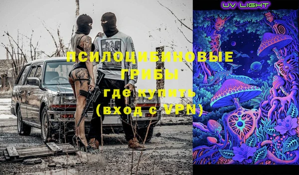 дживик Богородицк