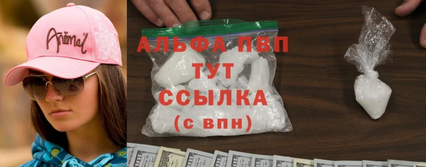 дживик Богородицк