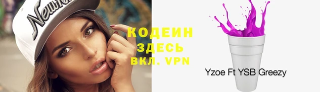 дживик Богородицк