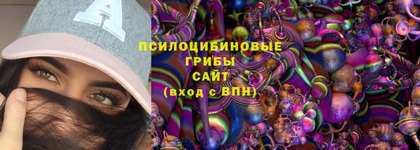крисы Богородск