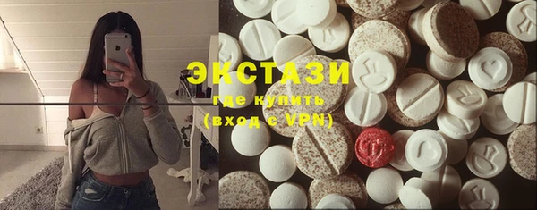 дживик Богородицк
