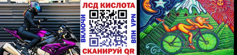 OMG   Киржач  Марки NBOMe 1,8мг 